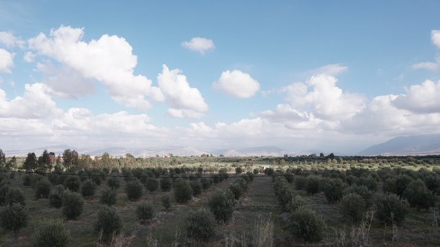 Kasbah Igoudar Boutique hotel & Spa主图