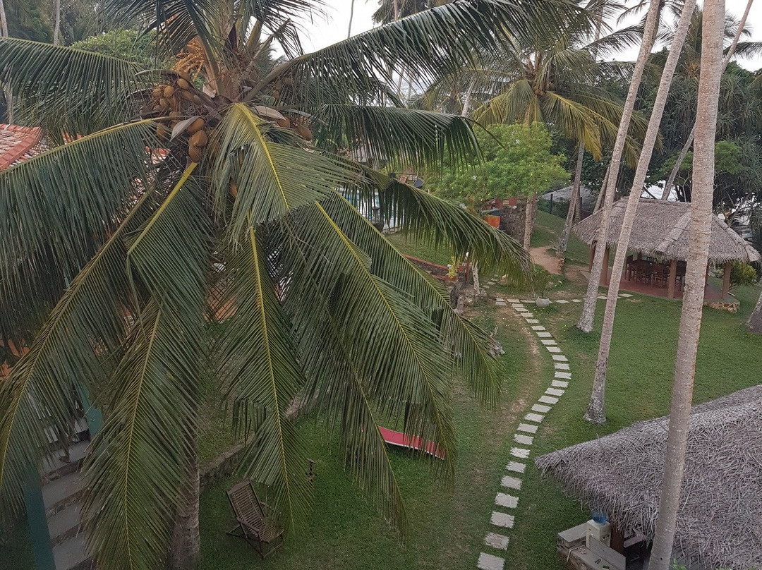 Isolabella Ayurvedic Hotel主图