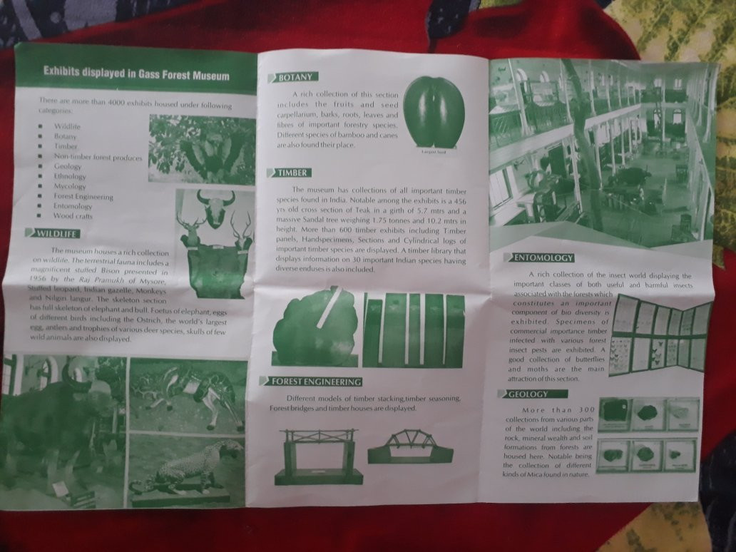 Gass Forest Museum-孔巴托必去景点