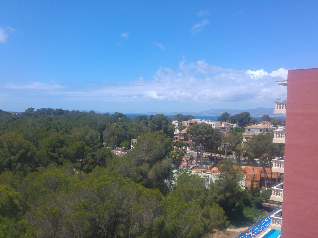 Hotel Ipanema Beach主图