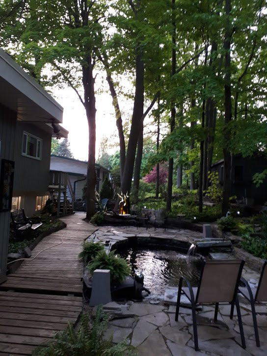 Forest Hill Bed and Breakfast主图