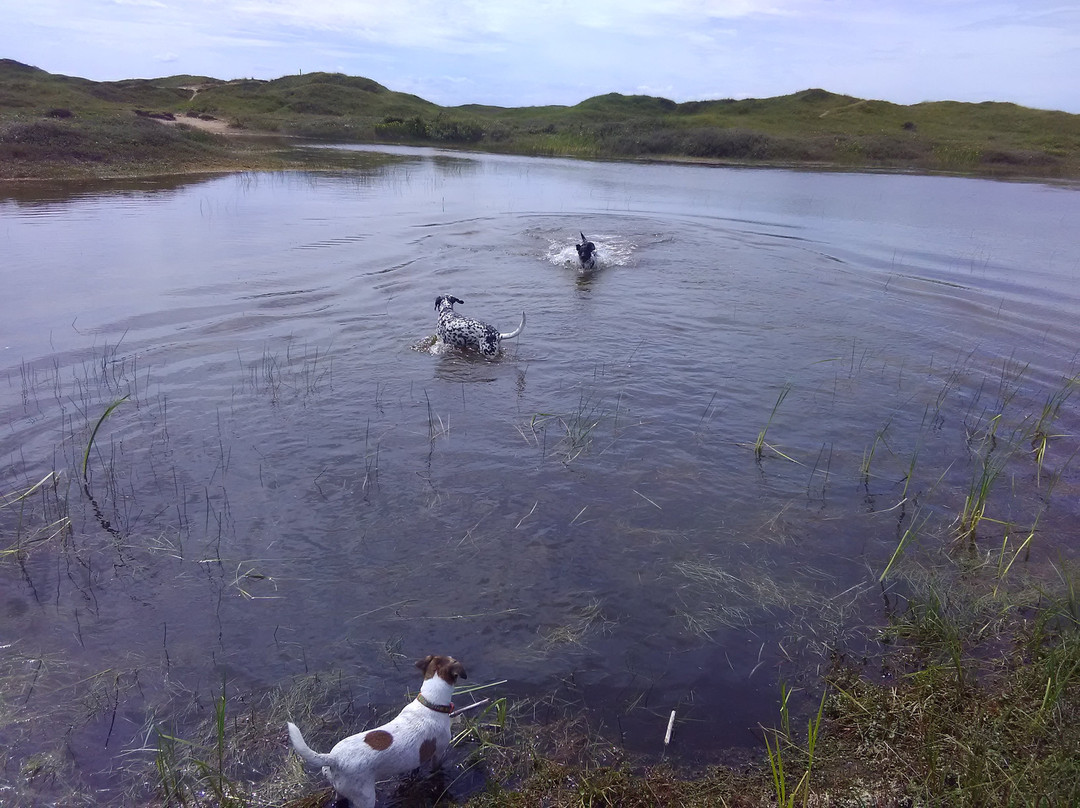 Kenfig National Nature Reserve景点图片