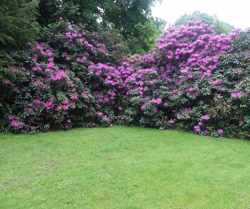 Carson's Bed & Breakfast and Salon主图