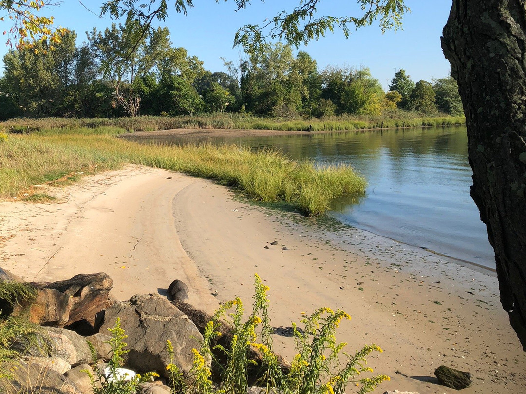 Bayside Marina-Bayside必去景点