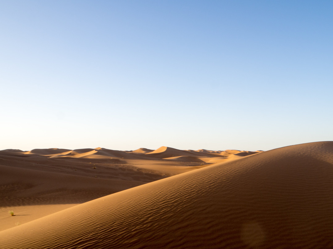 Desert Boussole Tours-马拉喀什必去景点