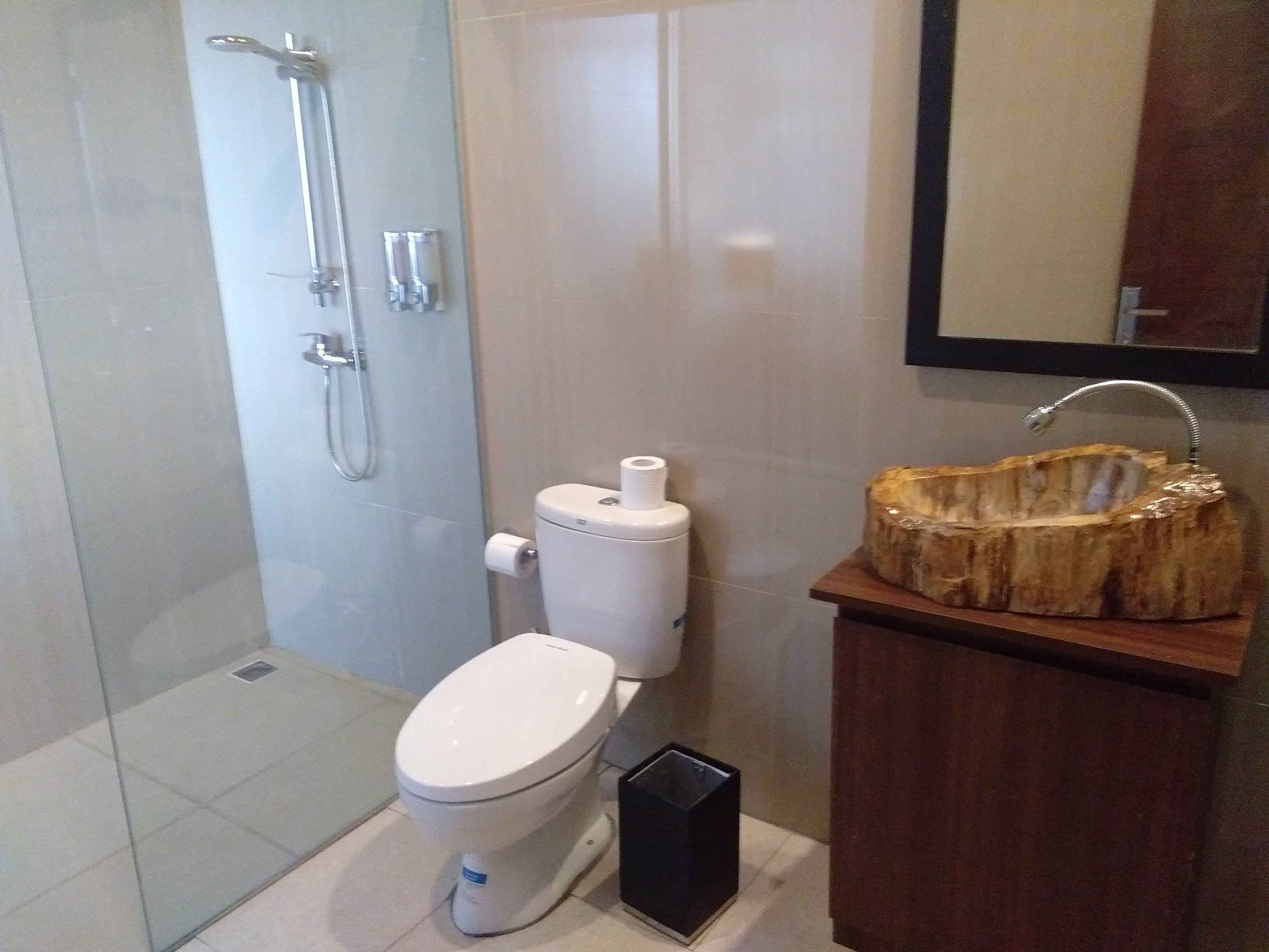 Atres Sari Resort-浴室