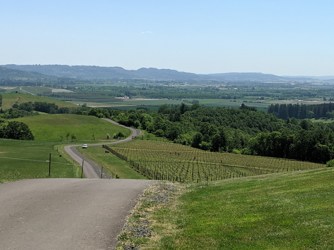 Youngberg Hill-麦克明维尔必去景点