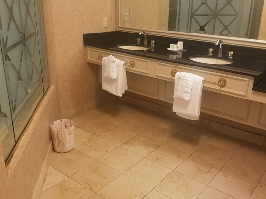 Hollywood Casino Tunica Hotel主图