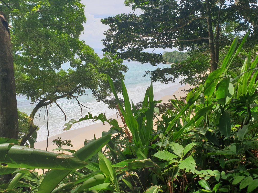 Playa Punta Uva景点图片