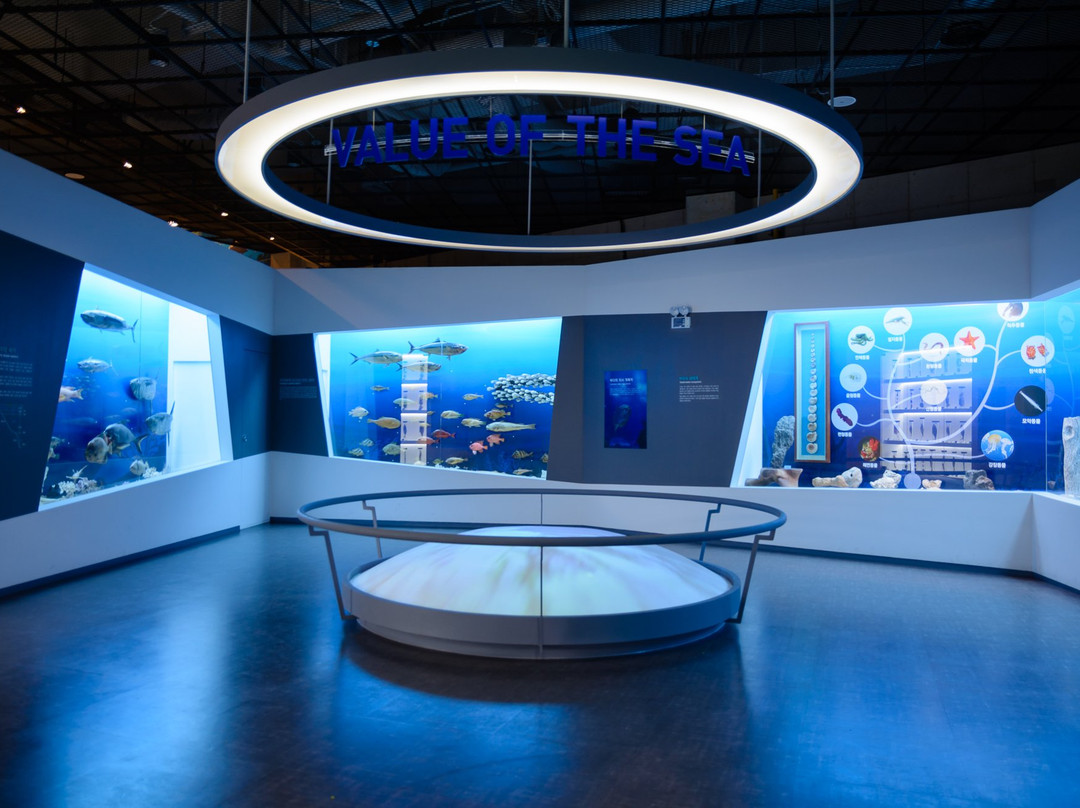 Ttangkkeut Marine Natural History Museum-海南郡必去景点