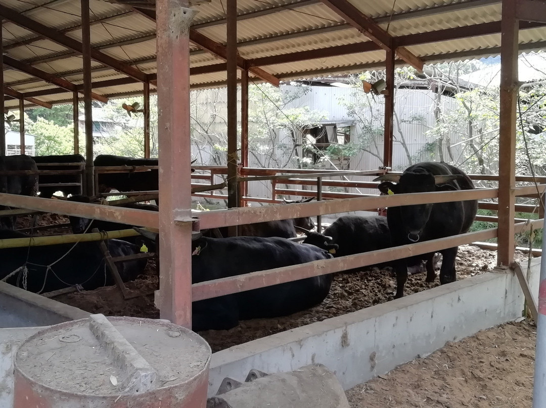 Tsurumaki Slope-小松岛市必去景点