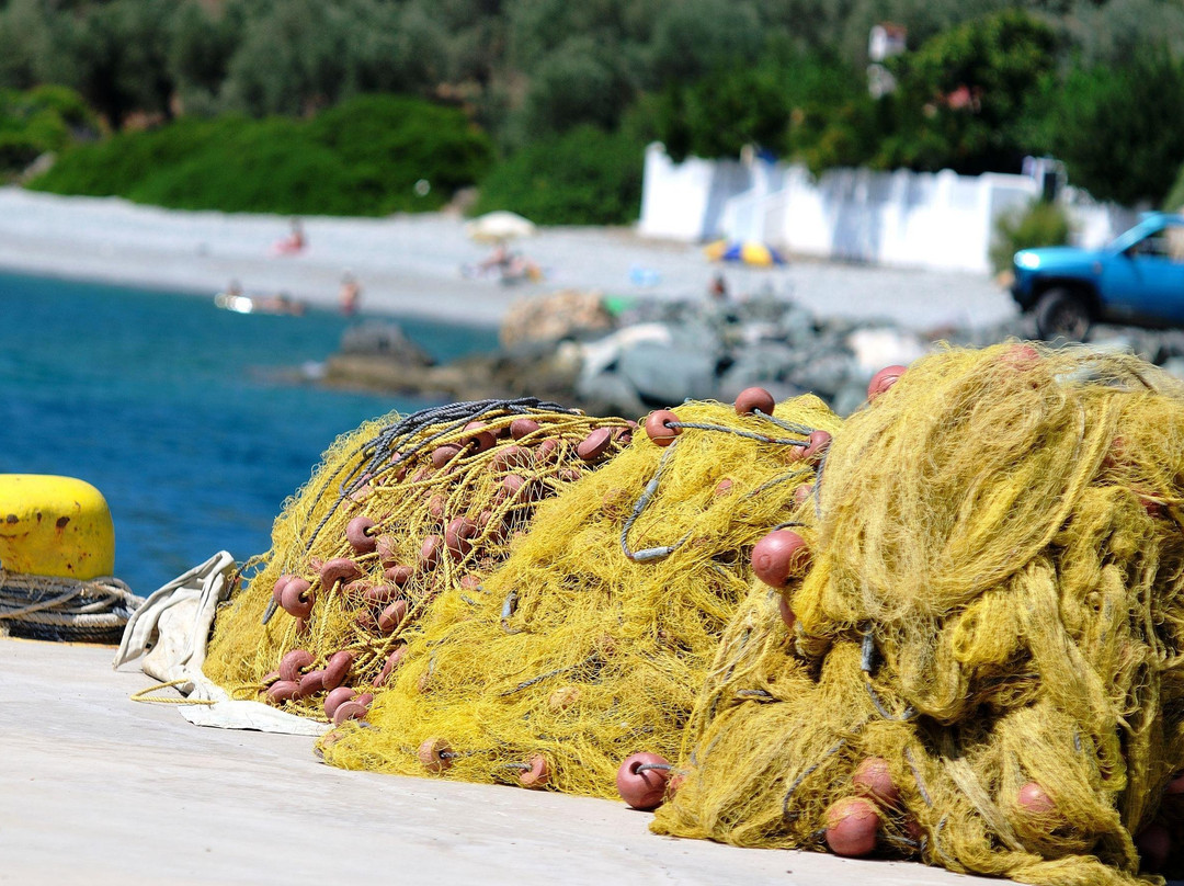 Kapougiati Studios主图