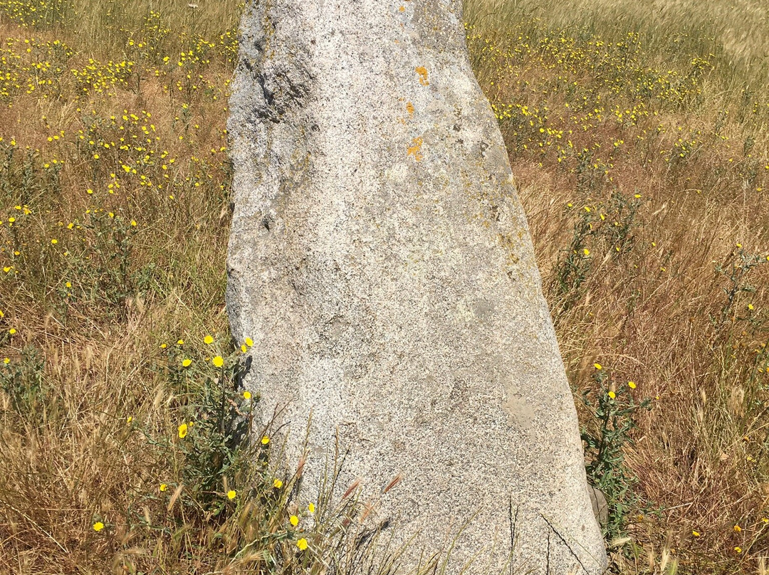 Archeologico di Perdas Longas-Guspini必去景点