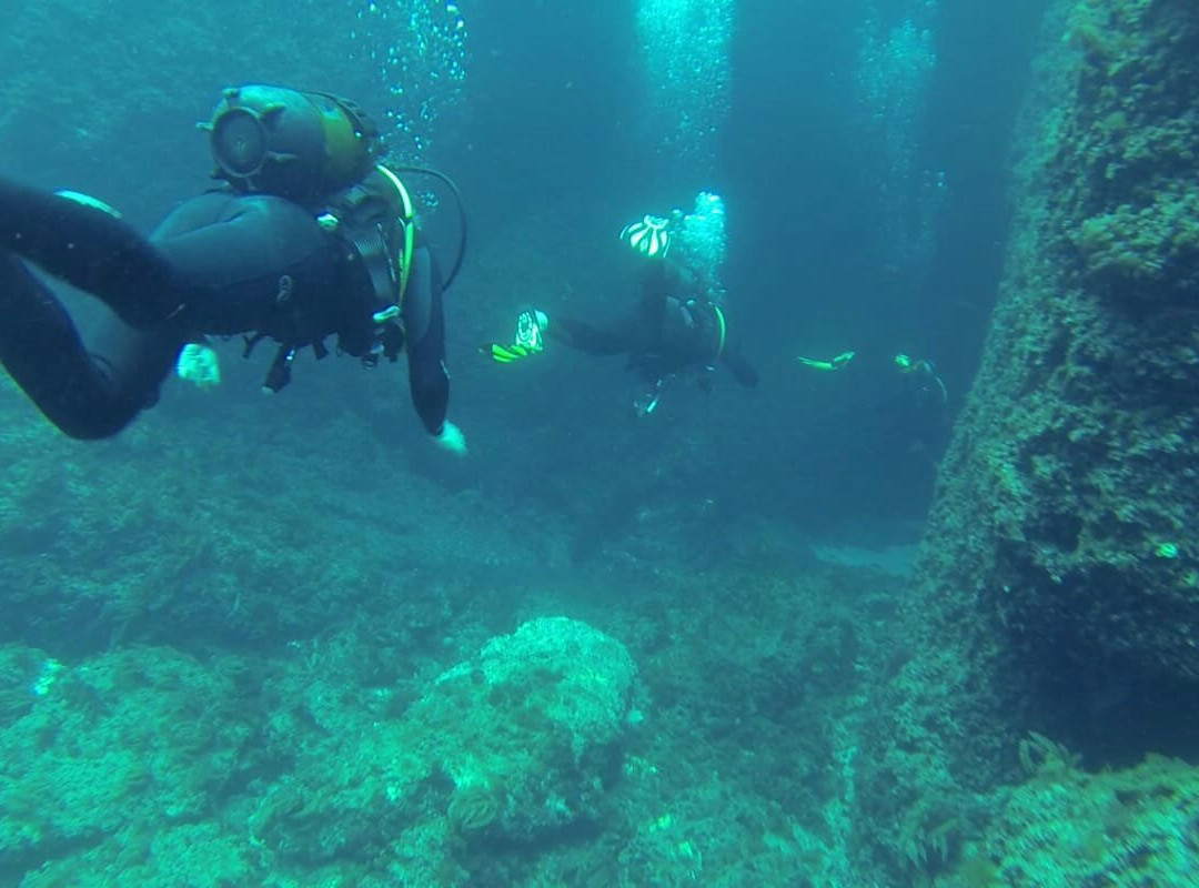 H2O Scuba Academy景点图片