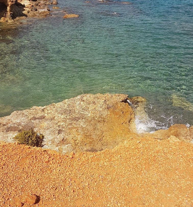 Playa de Es Canar景点图片