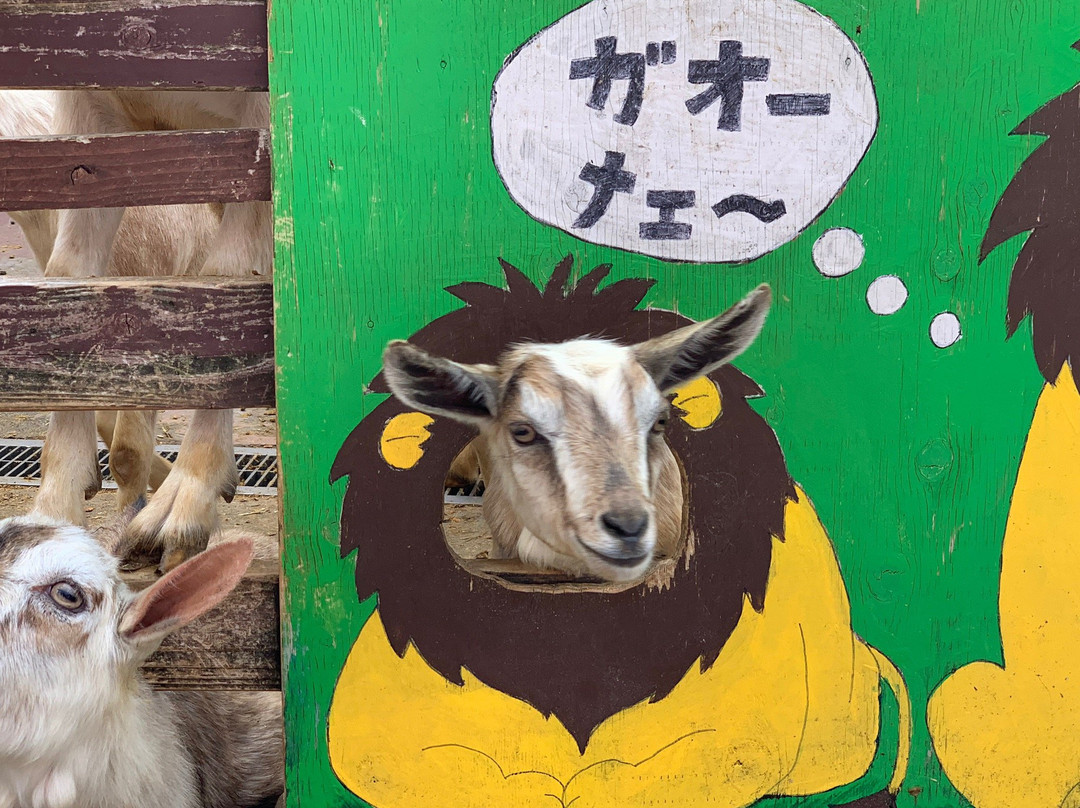 Rakunoh Mother's Aso Milk Bokujo-西原町必去景点