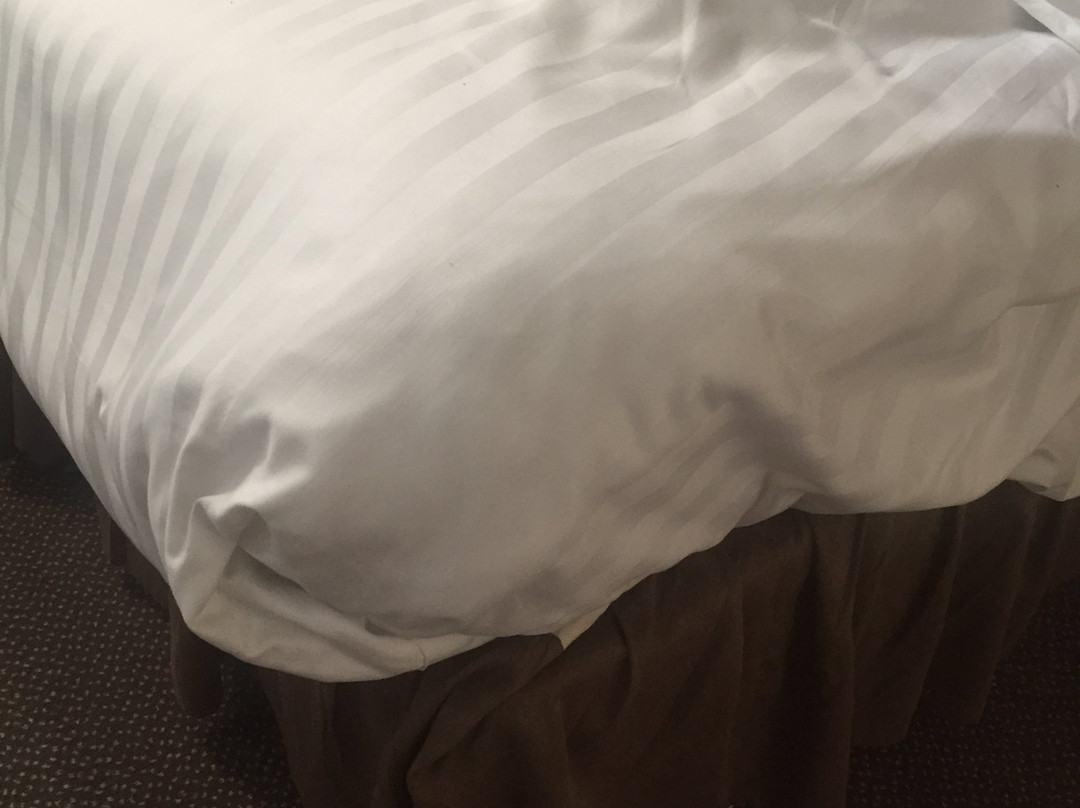 Ashford Court Boutique Hotel主图