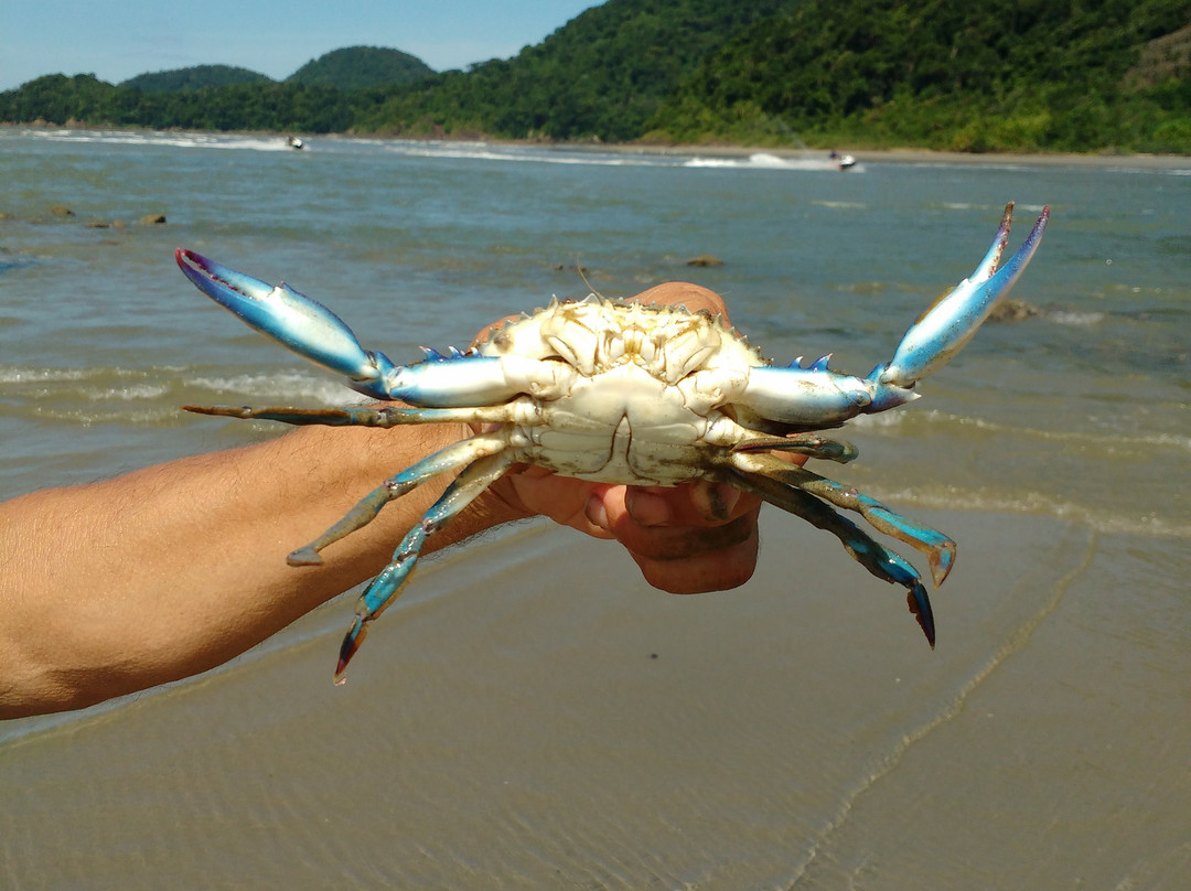 Guarauzinho Beach景点图片