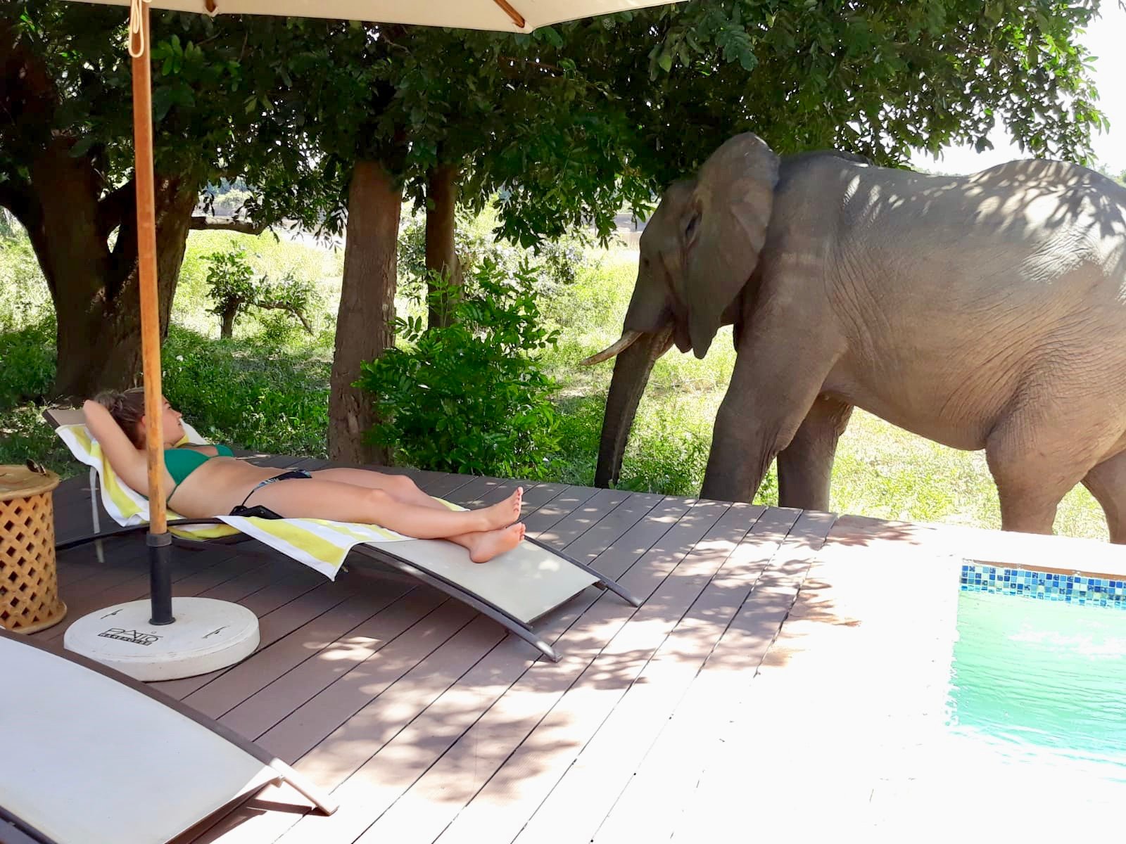 夫拉特多格斯露营旅馆-官方