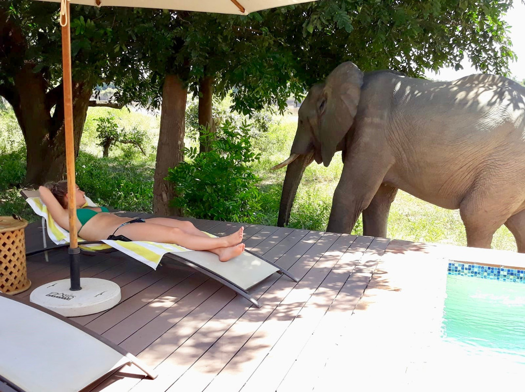 夫拉特多格斯露营旅馆主图