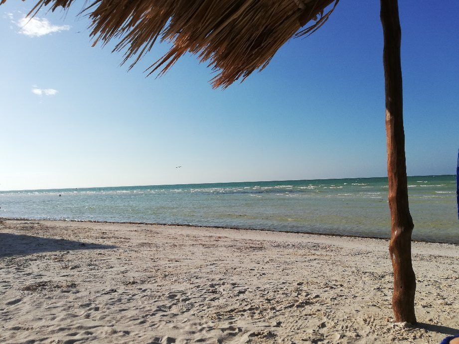 Hotel Casa Palapas Del Sol主图