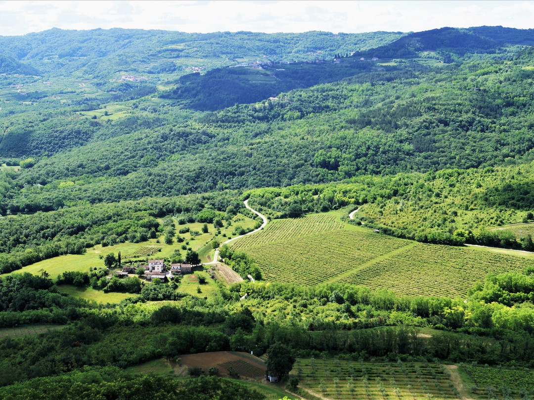 Montona Tours - Rent a Bike Point Motovun-Motovun必去景点