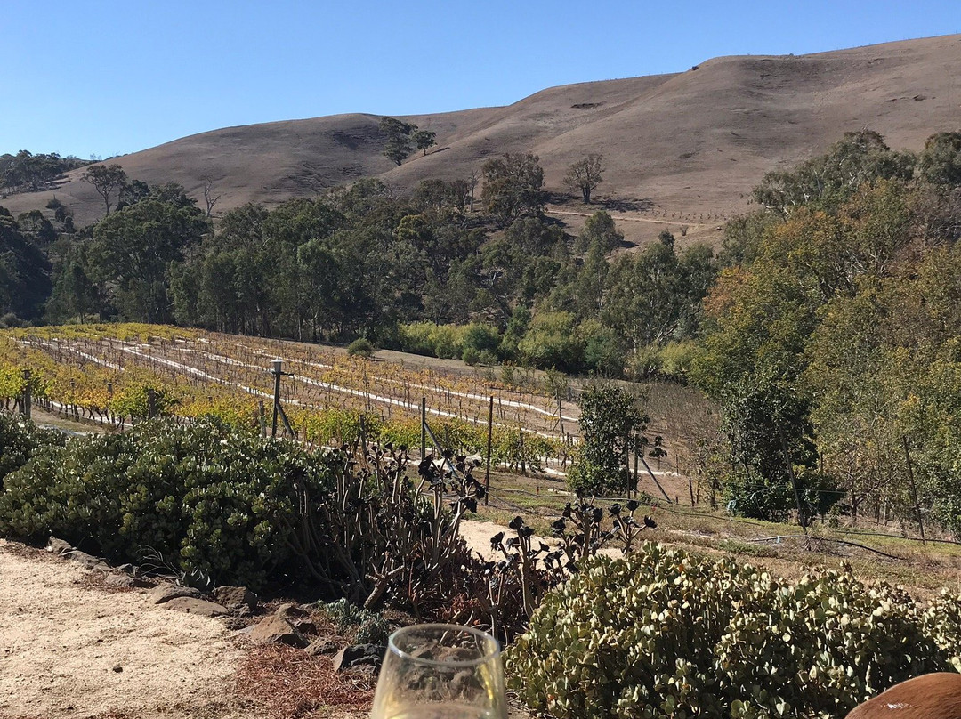 Moorabool Ridge Winery景点图片