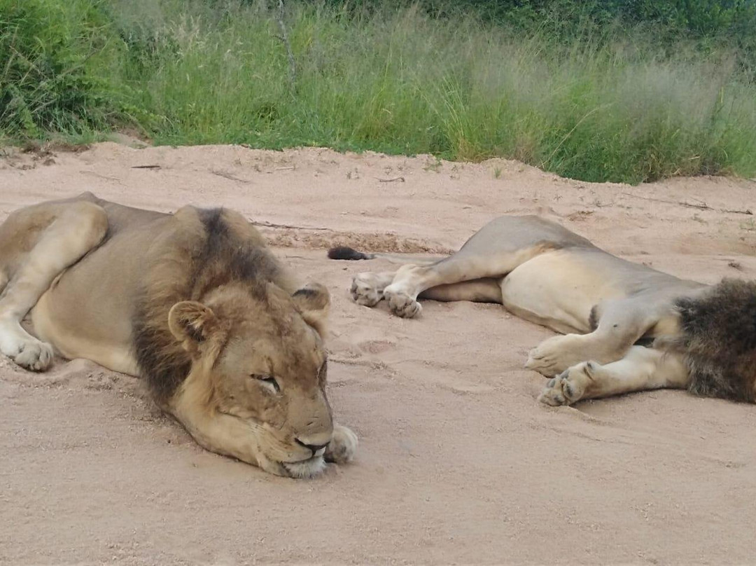 Belfast tours and safaris-雾观必去景点