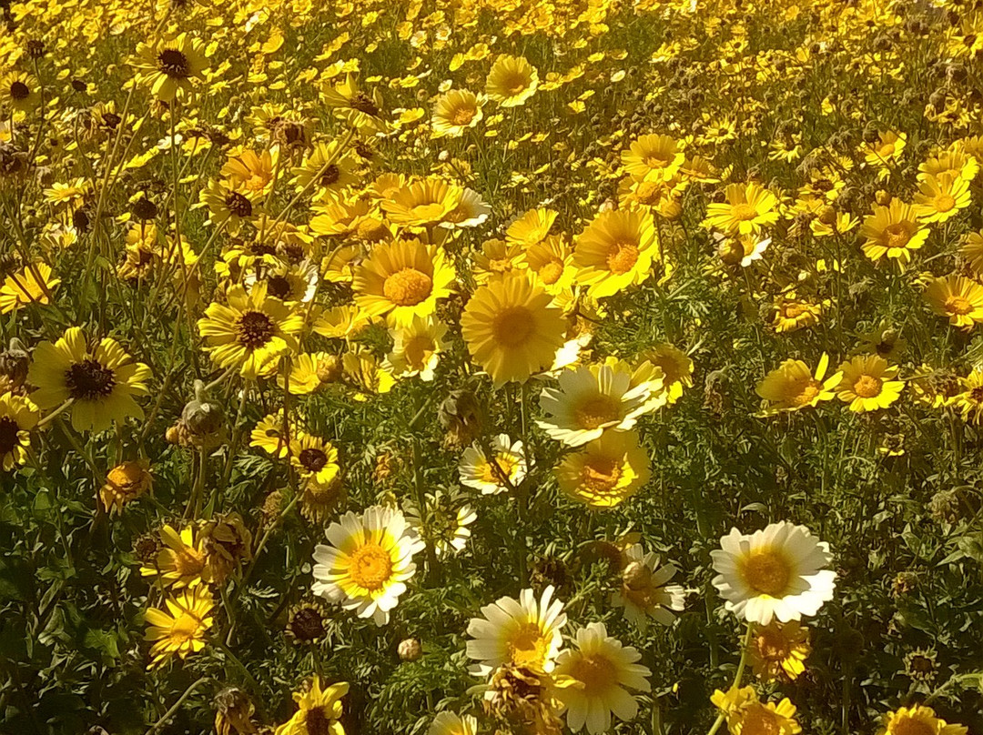 Tijuana River National Estuarine Research Reserve-Imperial Beach必去景点