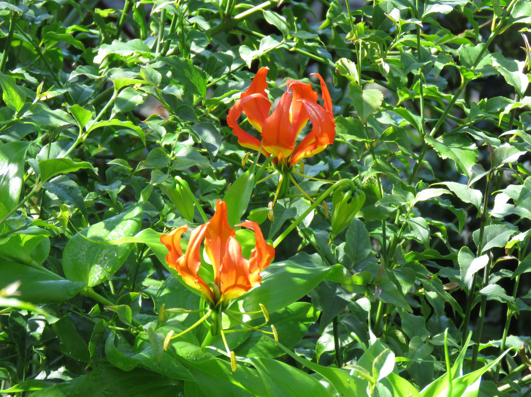 At Whale-Phin Guest House主图