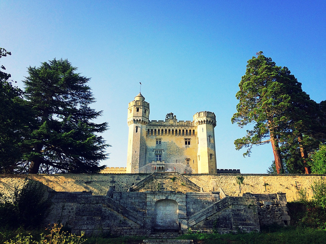 Chateau de Camarsac景点图片