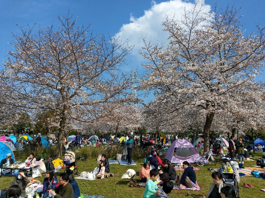 Ojima Komatsugawa Park景点图片