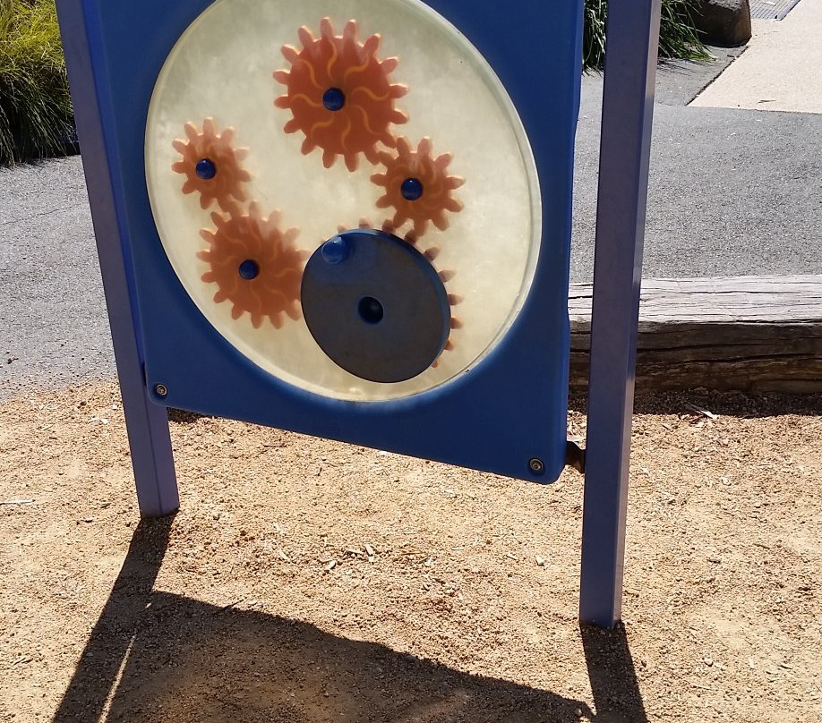 All Abilities Playground-谢珀顿必去景点