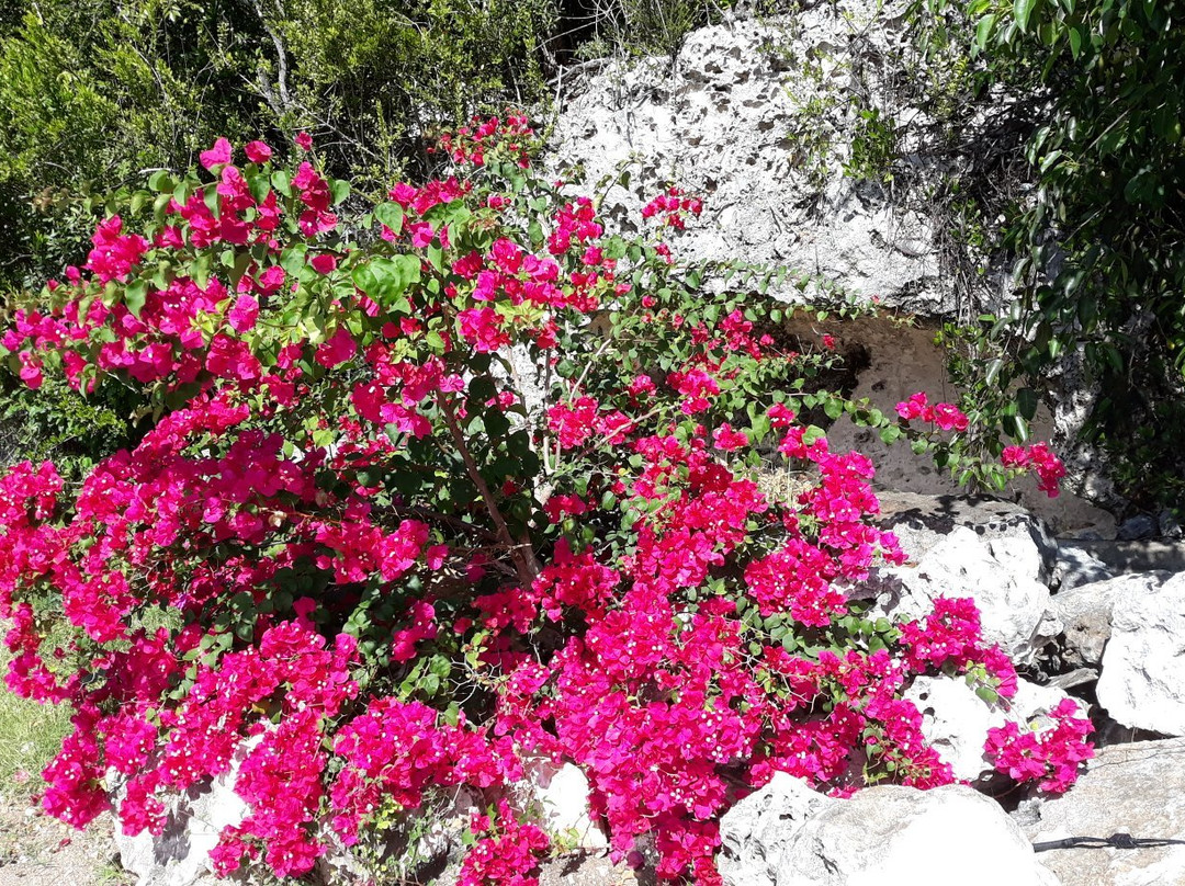 Hotel Villa Las Brujas主图