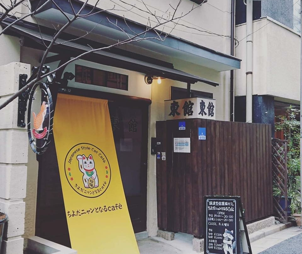 Chiyoda Nyan To Naru Cafe-千代田区必去景点