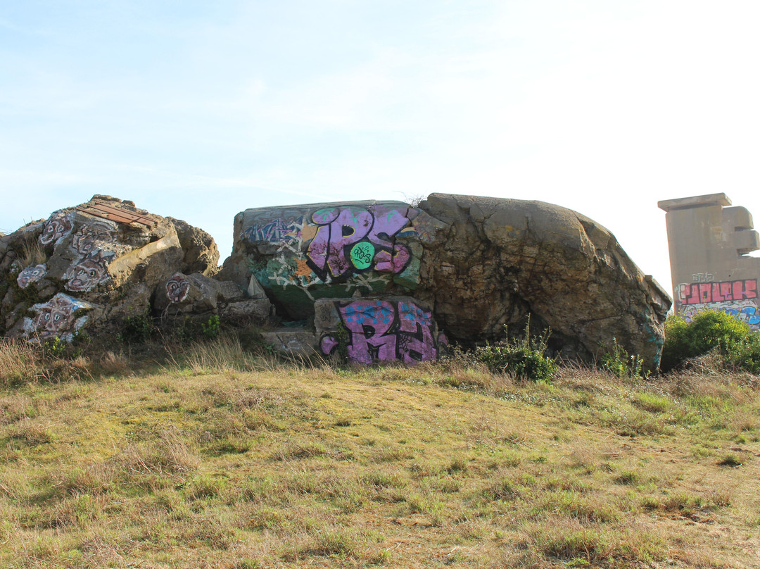 Beach of Tarnos-Tarnos必去景点
