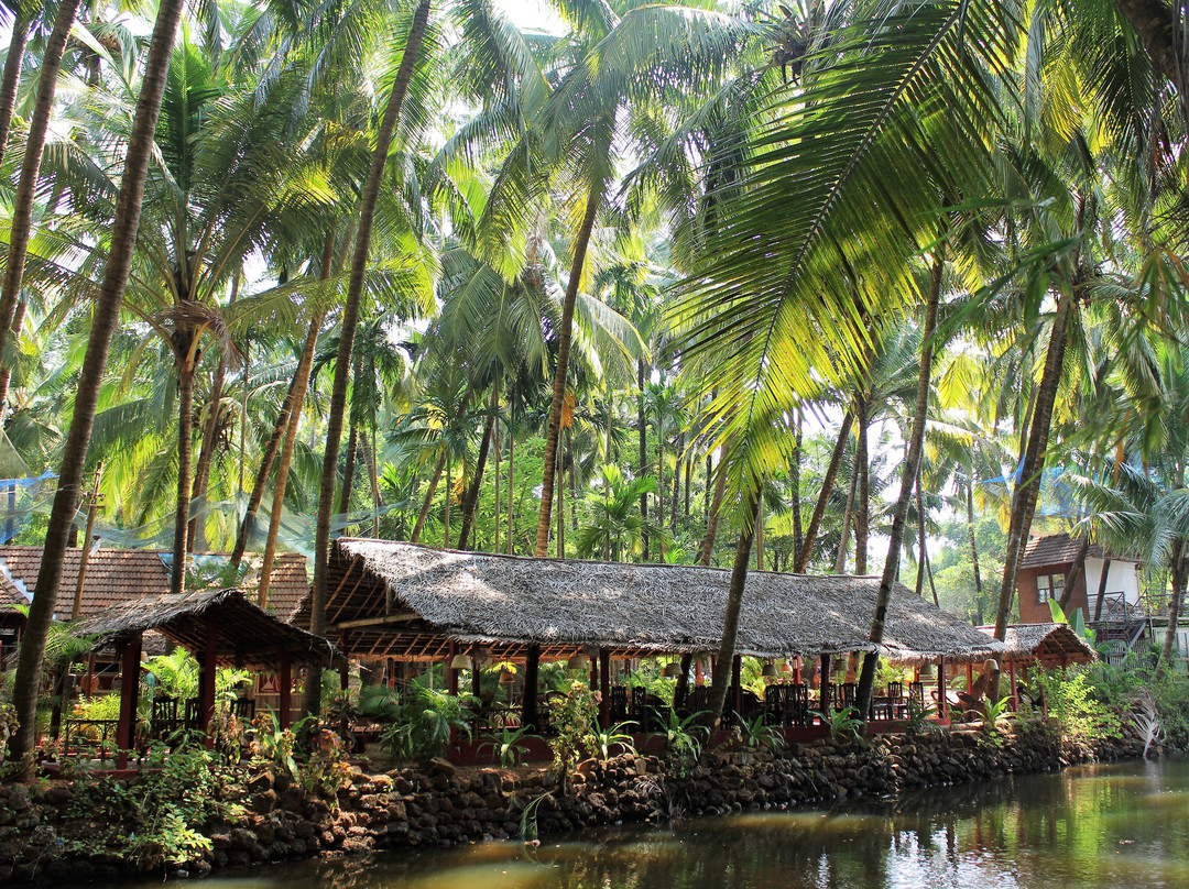 Palm Trees Ayurvedic Heritage
