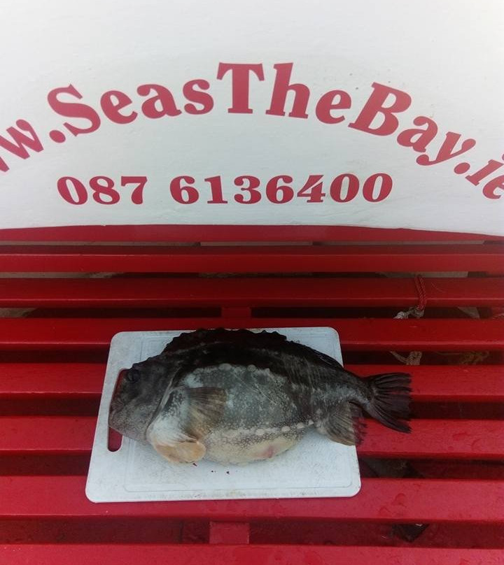 Seas The Bay-Dunfanaghy必去景点