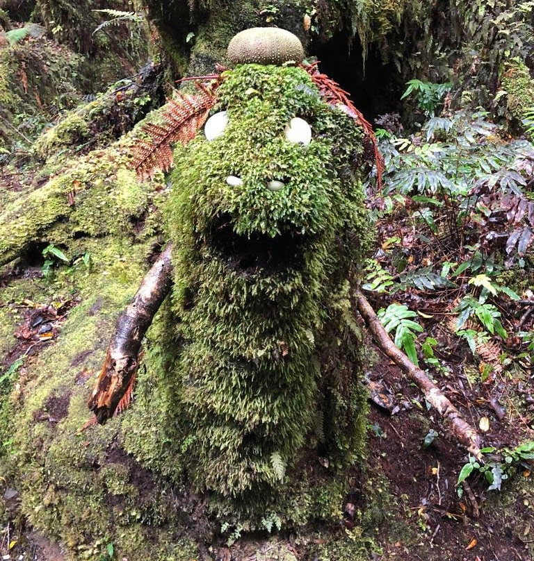 Monro Beach-Lake Moeraki必去景点