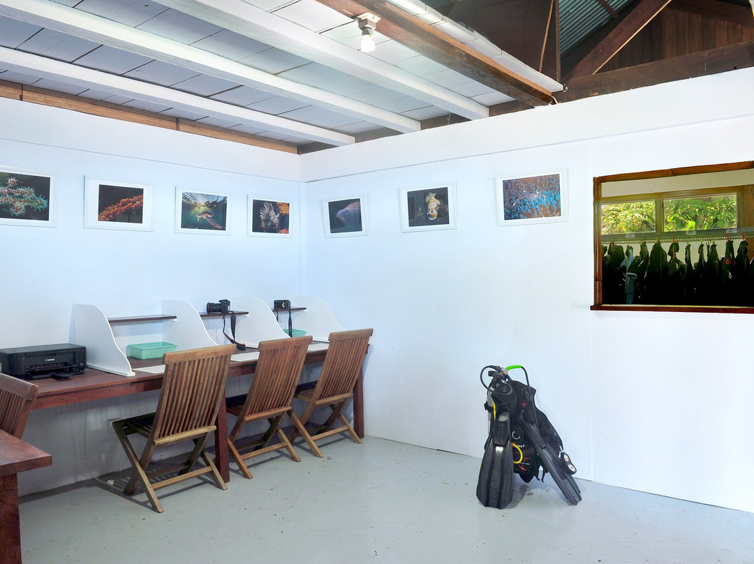 Janji Laut Diving Center景点图片