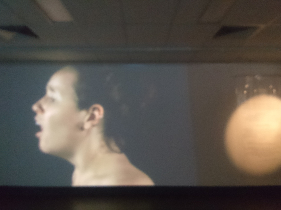 Griffith University Art Museum-布里斯班必去景点