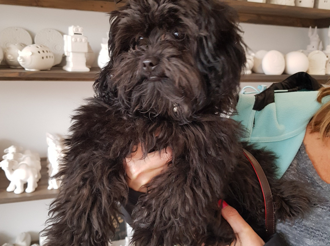 Lollipops & Ladybirds-Cwmbran必去景点