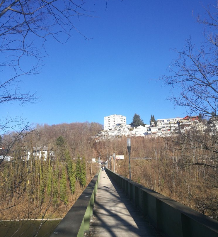 Marienbrücke in Gmunden-葛姆登必去景点