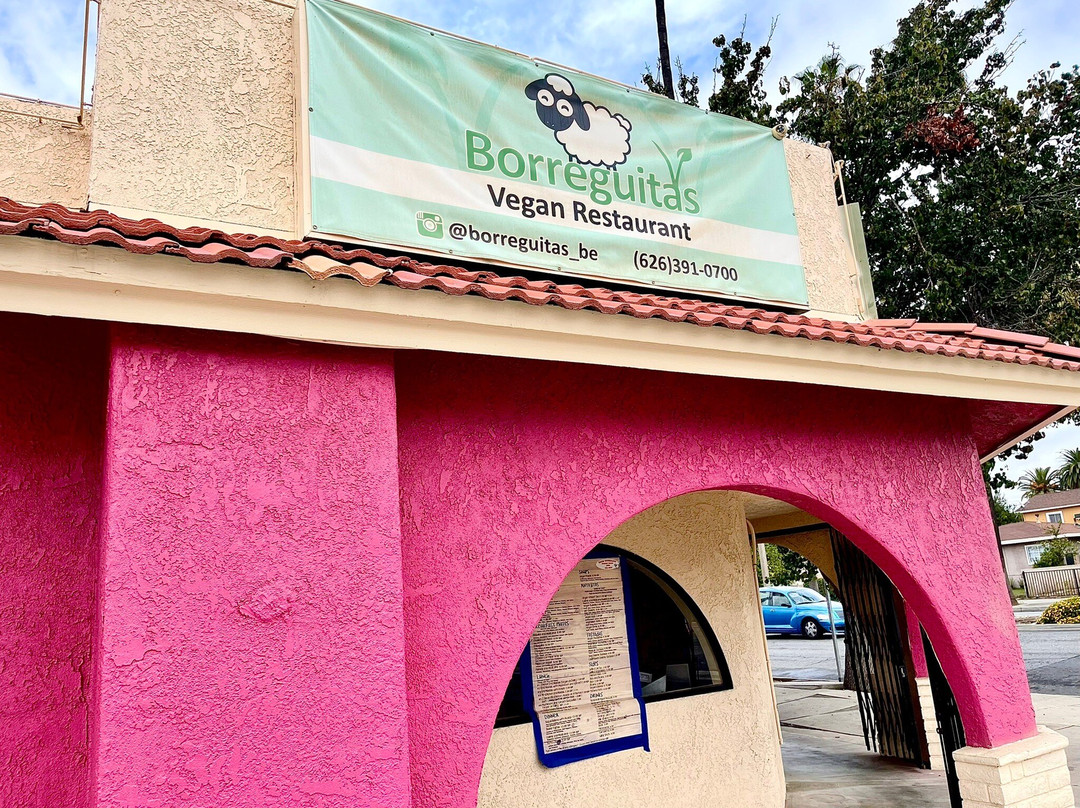 Borreguitas Bar Express