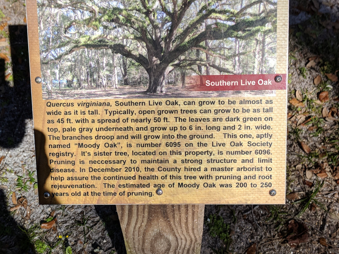 Moody Homestead Park-Bunnell必去景点