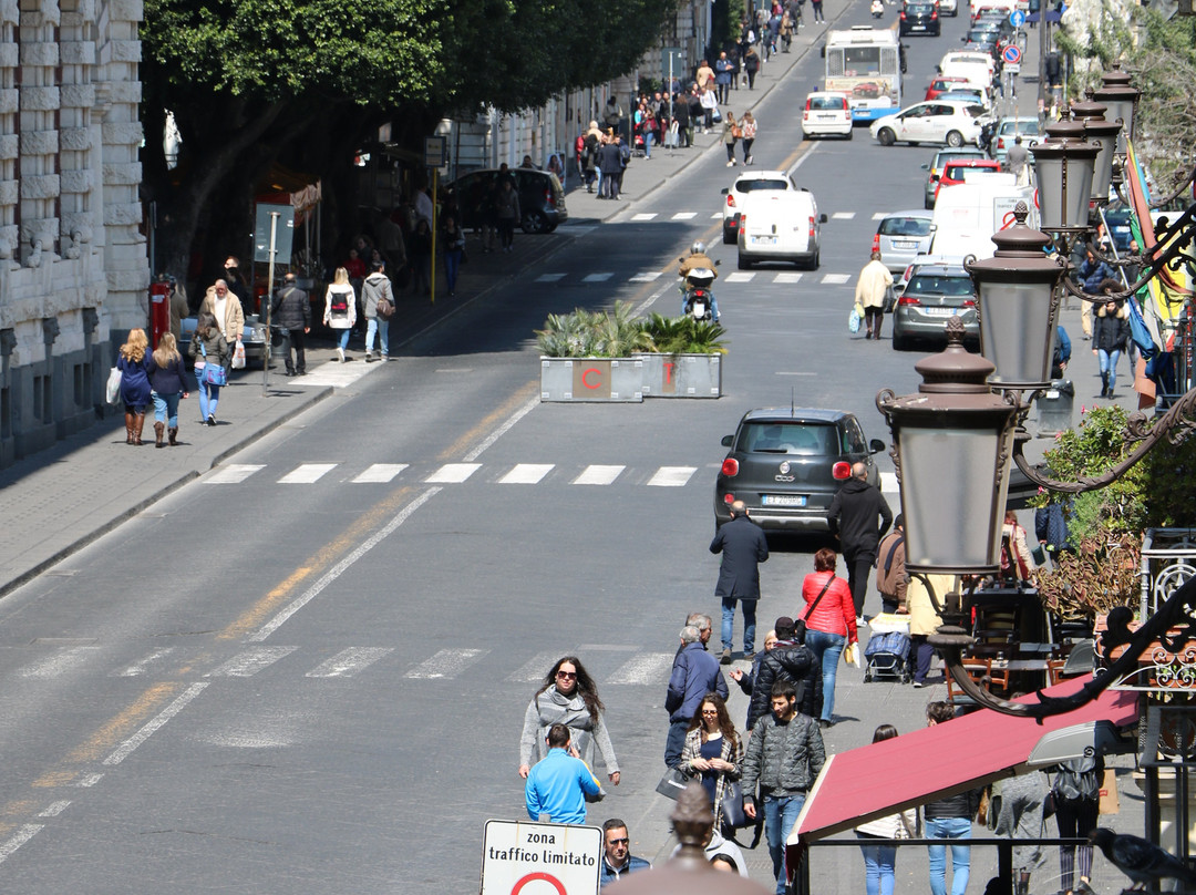 B&B L'Elefante主图