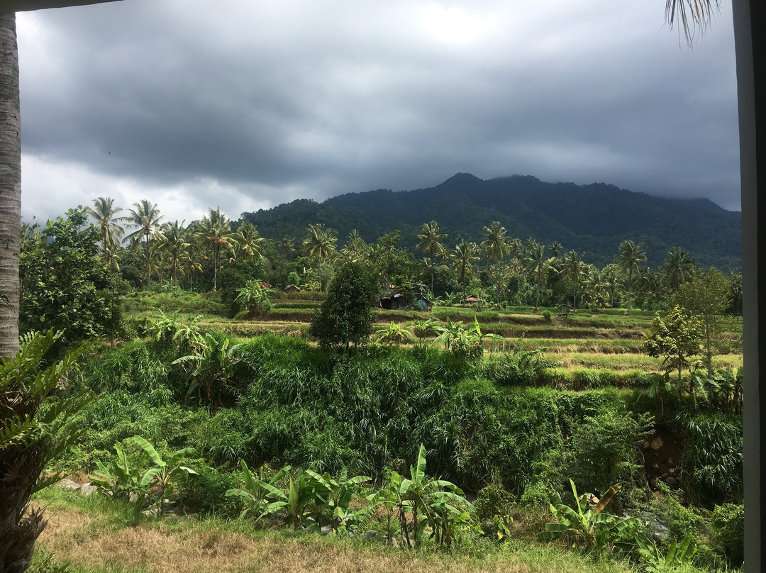 Lotus Guesthouse主图