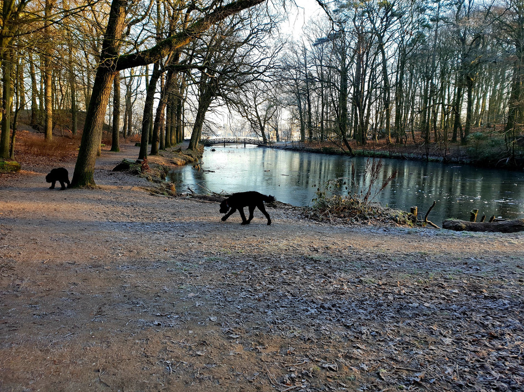 Wandelbos Groenendaal景点图片
