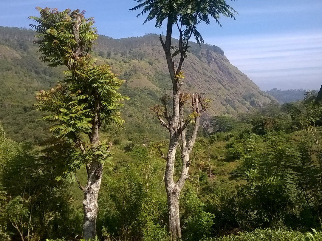 Morning Mist Guesthouse主图