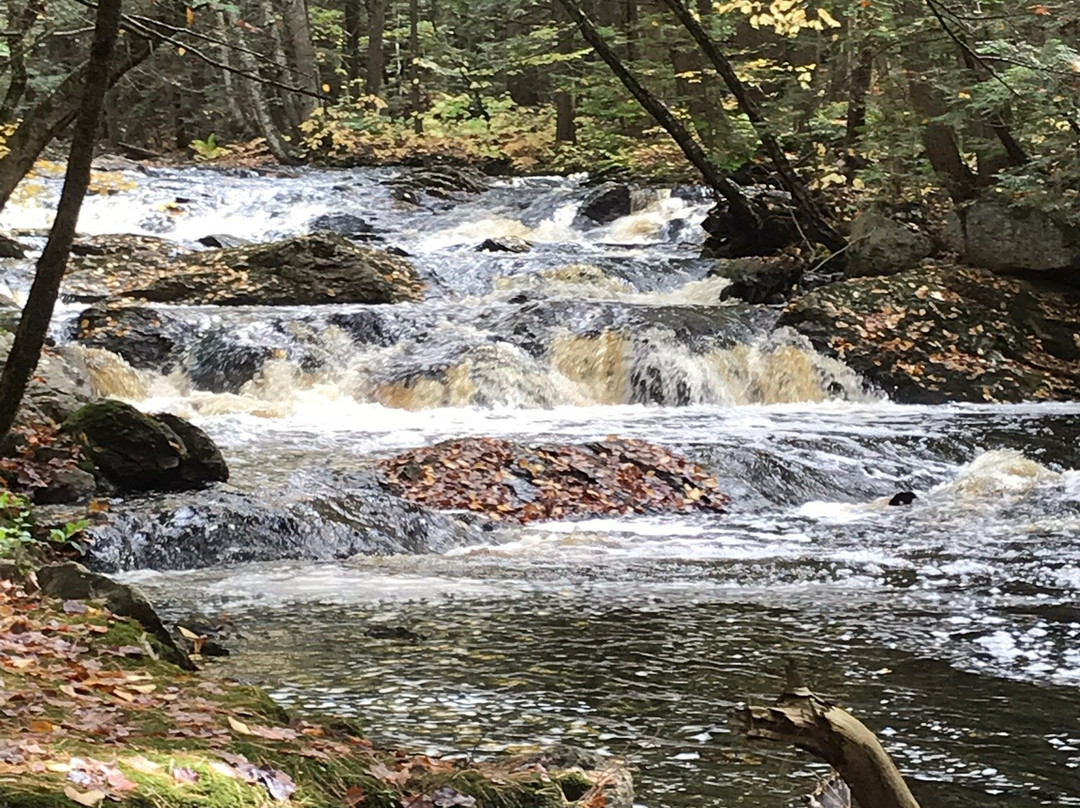 Wales Preserve-Sharon必去景点